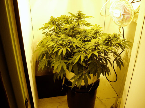 Shot of closet.  