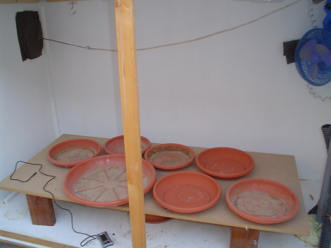 inside empty grow box...