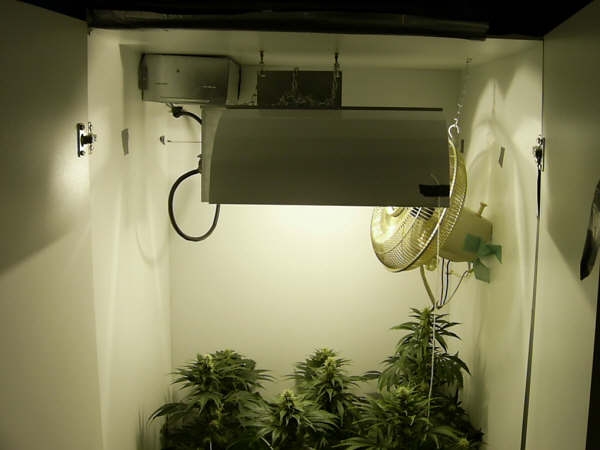 my setup, in a 6 foot cupboard, 2 feet by 2.5 feet