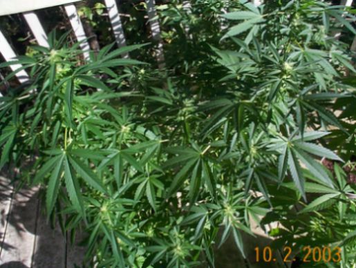 Looking Good Pic#7