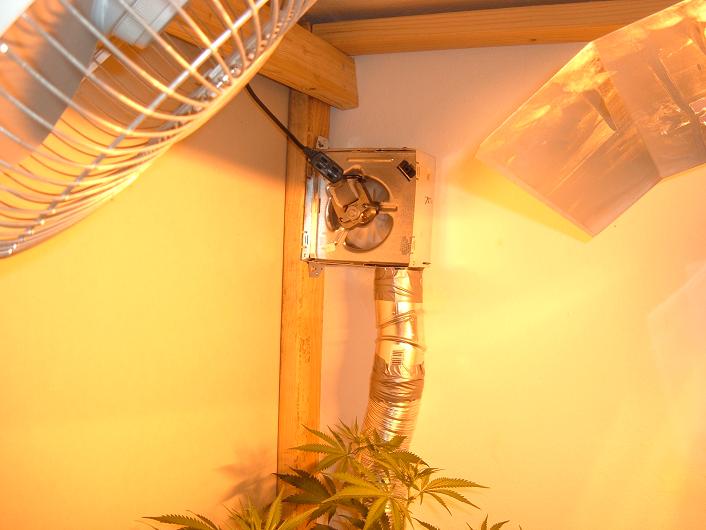 12 dollar home depot bathroom fan (120 CFM with a few modifications! man i love ghetto technology!)