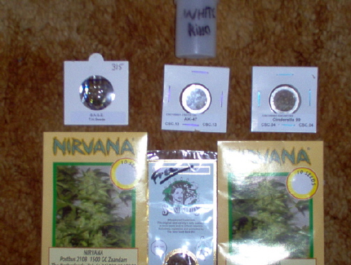 Some Beans to choose from Sage, WhiteRino,AK47,Cin99,ShivaShantiAndNorthern Lights