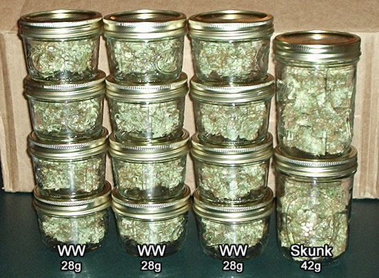 Jars