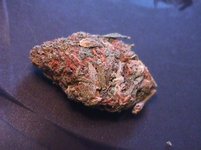 This is a closeup shot of one of my kind buds