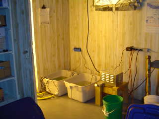 THis is the outside of my grow room,one active res for the buckets inside and one fresh water res ( this is a must with the ph in the water out of the tap where I grow). A tri meter (ph,ec and temp helps me keep a close eye on things - up to the minute some times - but this is a guerilla crop that must be handled with care