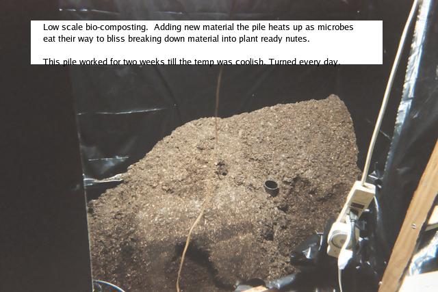 Each year I add new material and Biologics to refresh the soil.
 
