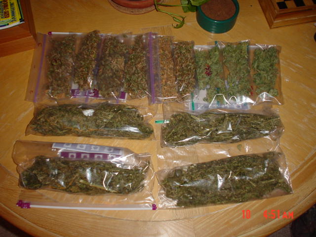 at the top left Hydro of unknown type, more brown and darker than the hydro (Northernlights) that is on the right. Two very distinct highs and tast.(The Shit). Total wt, in this shot is        1.5-lbs. All for Me.