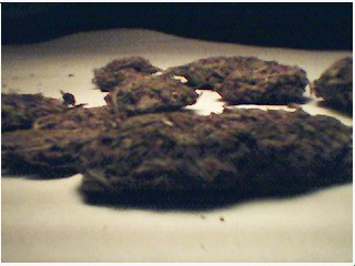 got me high -->