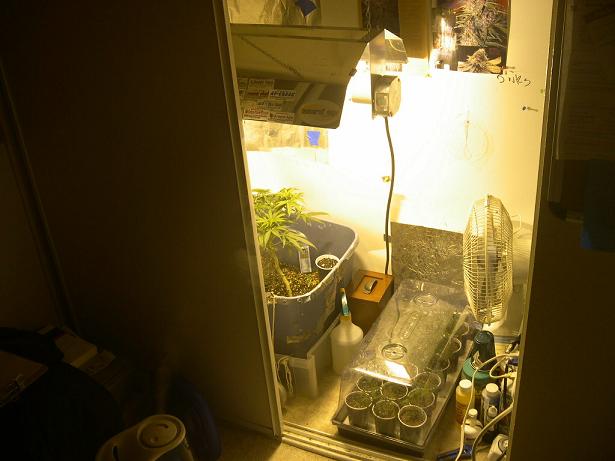 here is a pic of the grow room