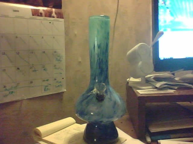 I named him Mr. Blueshroom, he looks like a blue mushroom. I going to wait until a week after havest to use him to smoke the Northern bud with. He's 12 inches tall, and a big bowl to full.