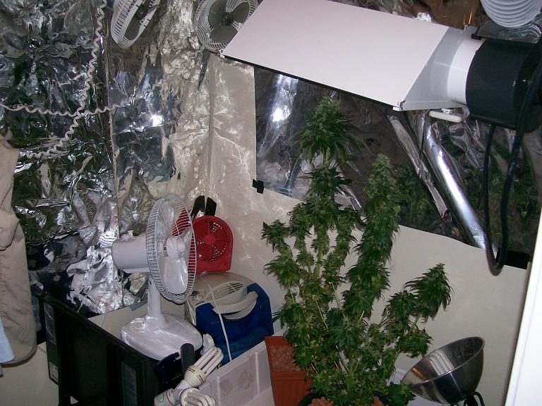 the set up