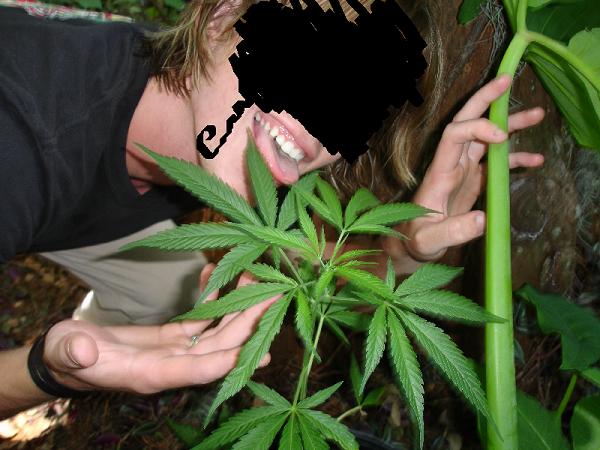 stoned, me and my buddy check on the plant