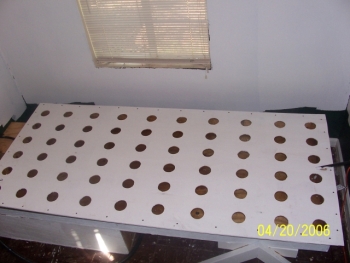 just look at all them holes!!!