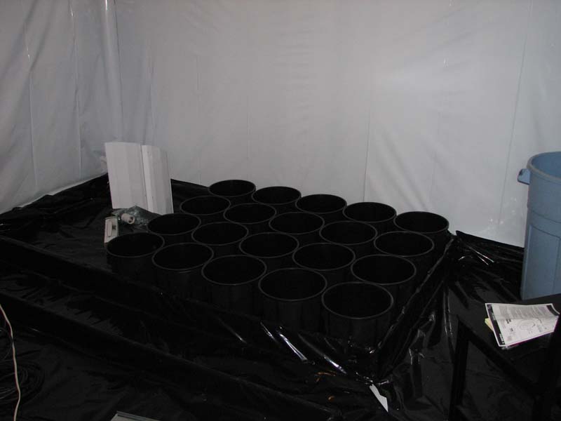 so there's 20 3 gallon pots and next to it u can see the white reflector and 1000w hps bulb which will be going up soon