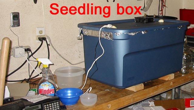 A new grow box to give the youngsters a controlled environment