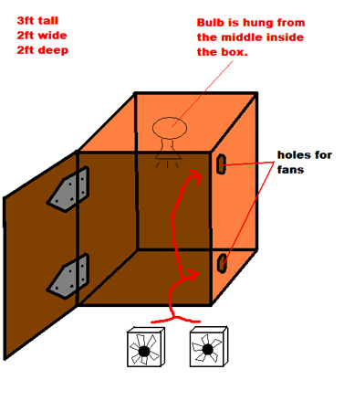 the fans were put on the inside, bulb was secured and hung and the foam cooler thing wtih the germinated seeds was planted and placed into the box. Tin foil was also added for the light reflection.