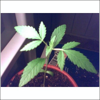 a little bigger