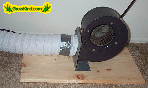 A squirrel cage fan in an outside room constantly pumps in fresh air.