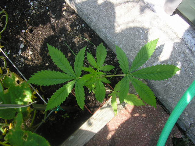 different  view 2