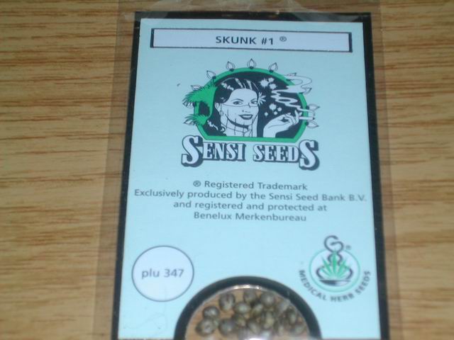 sensi seeds skunk #1