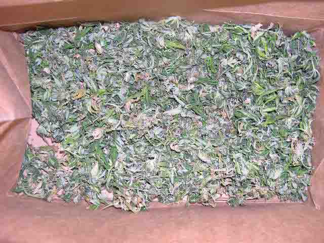 These are leaflets, scraggled flowers, and other bits that are covered in trichomes. These are the last to be manicured, and usually get used salad form. This mix is excellent for joint rolling.