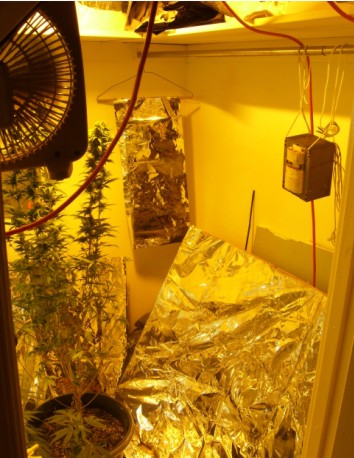 more mylar also along with 600w hps am running 2 250 w mh lights