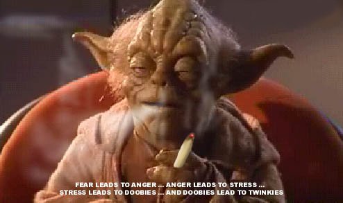 what did yoda do in his planet????....