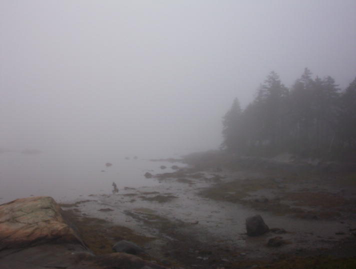The weather was god awful in july and a lot of august, hot humid and foggier than hell.  Only good part is I can hear 5 foghorns so that is at least pleasant imho