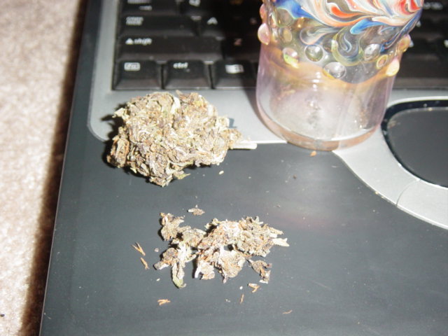 then i break down some purple sensi...